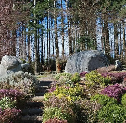 Trooperstown Bed & Breakfast Laragh